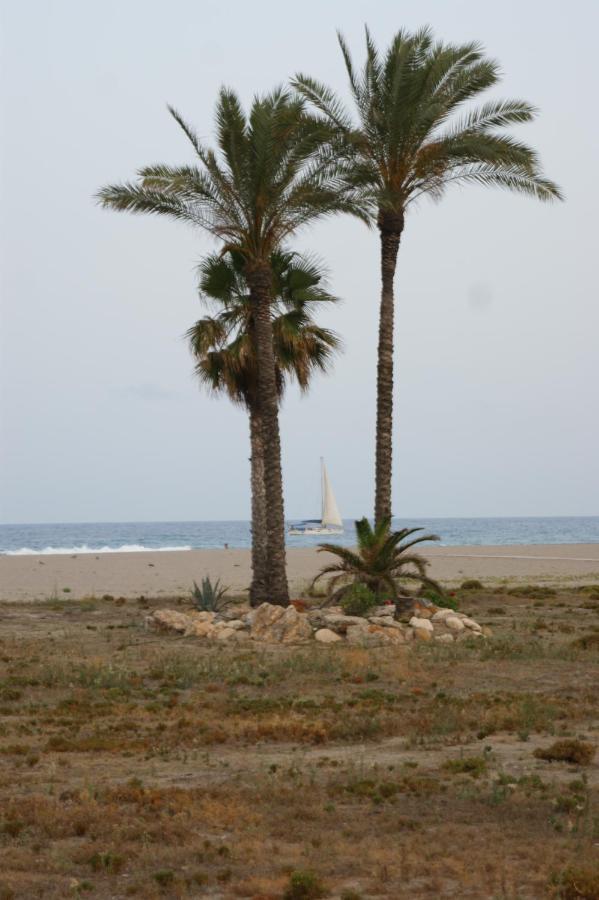 Apartment En A 300 M De La Playa, Con Patio Y Salida Directa A Calle Vera
